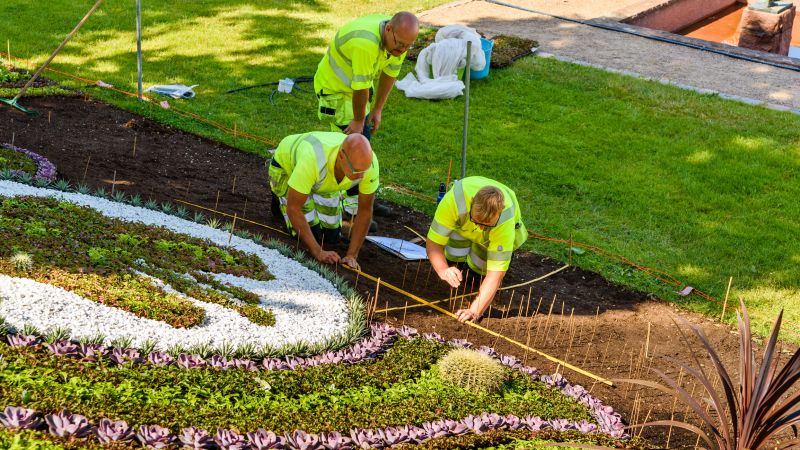 Boulder Wall Landscaping