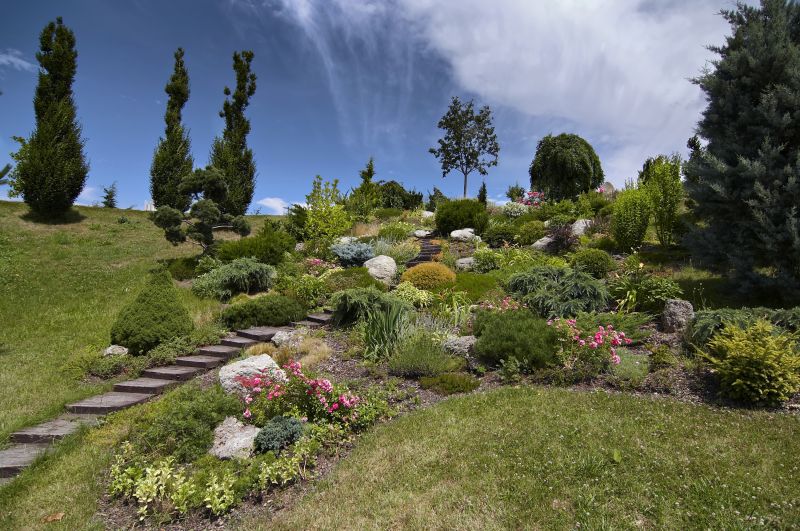 Terraced Boulder Landscape