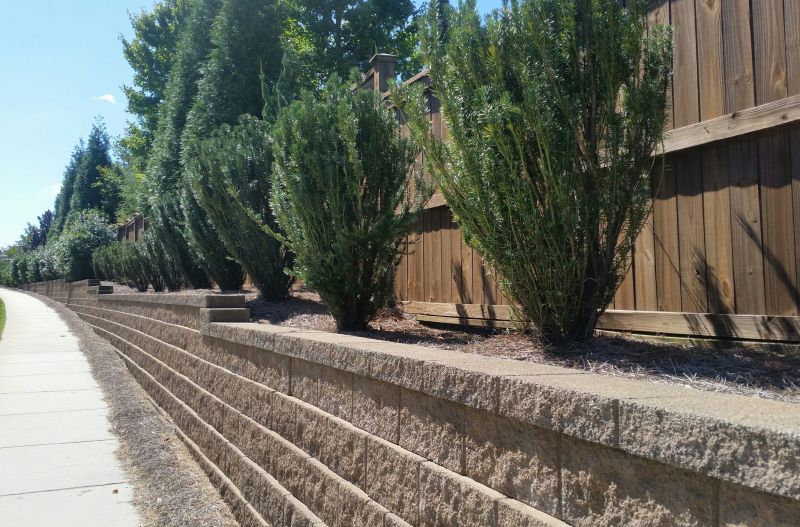 Landscape Wall Construction in Napa, CA