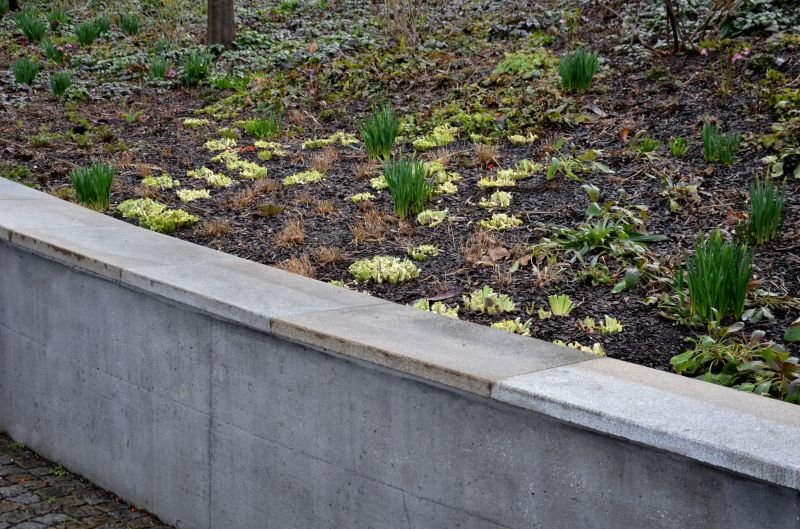 Retaining Wall Installation in Marin County, CA